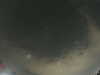 20240803234135-G0041565.JPG