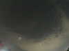 20240803234158-G0041567.JPG