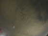 20240803235155-G0041621.JPG