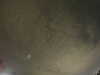 20240803235216-G0041623.JPG