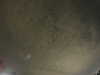 20240803235308-G0041628.JPG