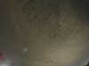 20240803235425-G0041636.JPG