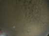 20240803235903-G0041666.JPG