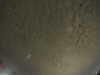 20240804000204-G0041686.JPG