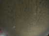 20240804000222-G0041688.JPG