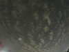 20240804010531-G0042065.JPG