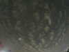 20240804010543-G0042066.JPG