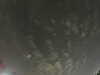20240804012150-G0042144.JPG