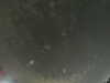 20240804013106-G0042188.JPG