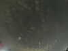 20240804013157-G0042192.JPG