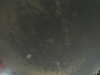 20240804013223-G0042194.JPG