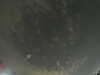 20240804013314-G0042198.JPG
