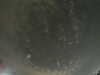 20240804013417-G0042203.JPG
