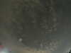 20240804013430-G0042204.JPG