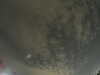 20240804013930-G0042228.JPG