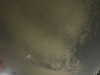 20240804014429-G0042253.JPG