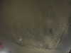 20240804014829-G0042275.JPG