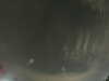 20240804015920-G0042333.JPG
