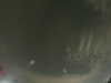 20240804015932-G0042334.JPG