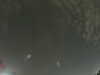 20240804022903-G0042483.JPG
