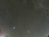 20240804023243-G0042500.JPG