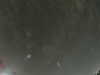 20240804023614-G0042516.JPG