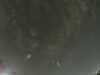 20240804023653-G0042519.JPG