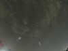 20240804023720-G0042521.JPG