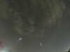 20240804023813-G0042525.JPG