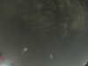 20240804024131-G0042540.JPG