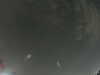 20240804024223-G0042544.JPG