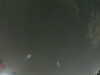 20240804024446-G0042555.JPG