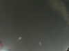 20240804024829-G0042572.JPG