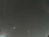 20240804025041-G0042582.JPG