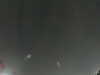 20240804025957-G0042624.JPG
