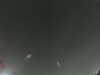 20240804030507-G0042647.JPG