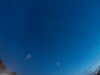 20240804041630-G0042995.JPG