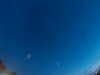 20240804041637-G0042996.JPG