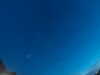 20240804042204-G0043045.JPG