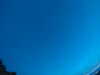 20240804044501-G0043294.JPG