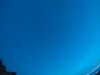 20240804044510-G0043296.JPG