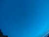 20240804044634-G0043315.JPG
