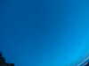 20240804044643-G0043317.JPG