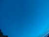 20240804044656-G0043320.JPG