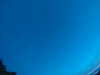 20240804044705-G0043322.JPG