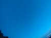 20240804045211-G0043394.JPG