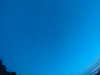 20240804045219-G0043396.JPG