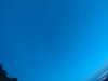 20240804045247-G0043403.JPG