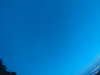 20240804045303-G0043407.JPG