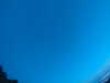 20240804045311-G0043409.JPG